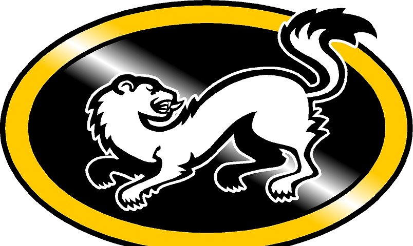 Oulun Kärpät Oulun Kärpät vahvisti alakertaansa Jakub Krejcikillä.