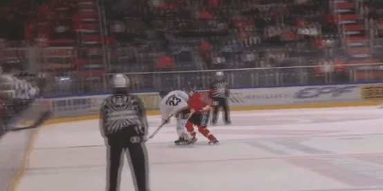 HPK HPK