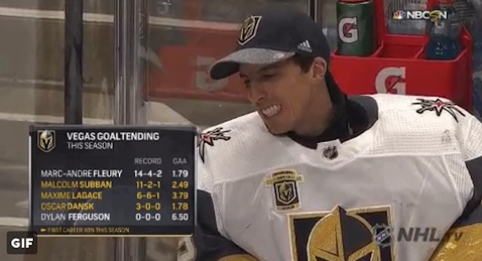 Marc-Andre Fleury puhuu itsekseen Marc-Andre Fleury tunnetaan yhtenä NHL-kaukaloiden sympaattisimmista pelaajista.