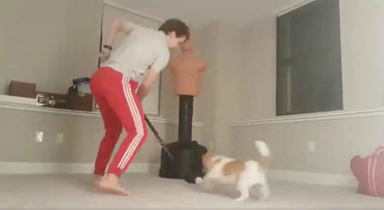Artemi Panarin harjoittelee Columbuksen Artemi Panarin harjoittelee videolla kikkojaan omaa koiraansa vastaan.