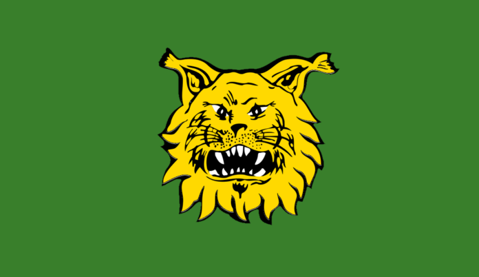 ilves_logo